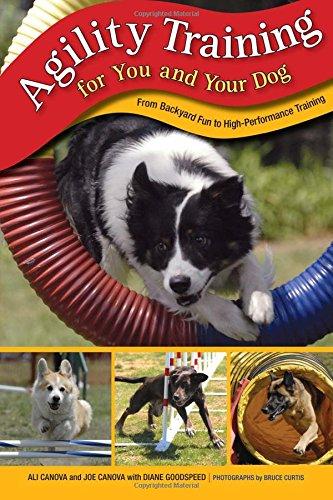 Agility Training for You and Your Dog: From Backyard Fun to High-Performance Training