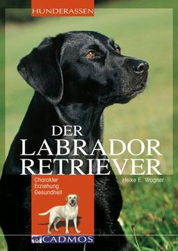 Labrador Retriever: Charakter Erziehung Gesundheit