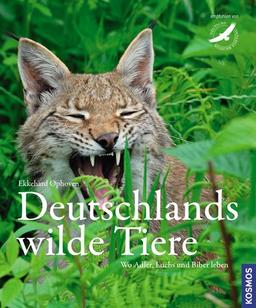 Deutschlands wilde Tiere: Wo Adler, Dachs und Biber leben: Wo Adler, Luchs und Biber leben