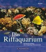 Das Riffaquarium: Einrichtung und Pflege einer einzigartigen Unterwasserwelt