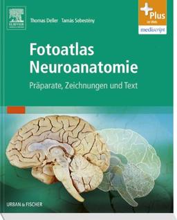 Fotoatlas Neuroanatomie: Präparate, Zeichnungen und Text - mit Zugang zur mediscript Lernwelt