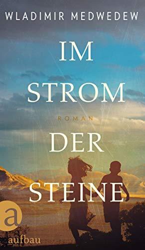 Im Strom der Steine: Roman