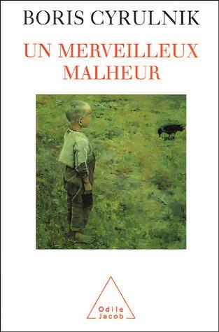 Un merveilleux malheur