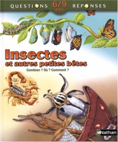 Insectes et autres petites bêtes