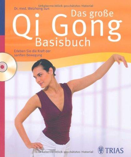 Das große Qi Gong Basisbuch: Erleben Sie die Kraft der sanften Bewegung