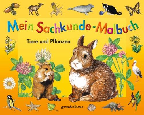 Mein Sachkunde-Malbuch Tiere und Pflanzen (orange)