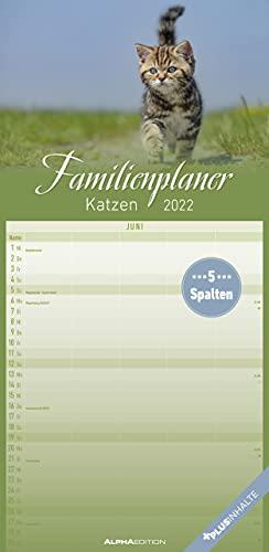 Katzen 2022 Familienplaner - Familien-Timer - Termin-Planer - Kinder-Kalender - Familien-Kalender - 22x45