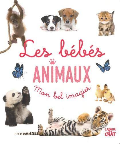 Les bébés animaux