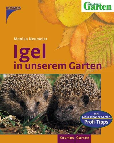 Igel in unserem Garten