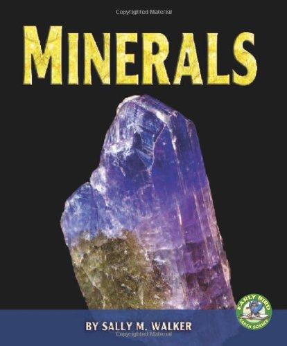 Minerals (Early Bird Earth Science)