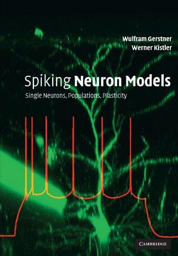 Spiking Neuron Models: Single Neurons, Populations, Plasticity