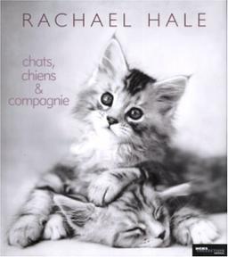 Chats, chiens et compagnie