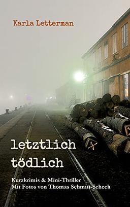 letztlich tödlich: Kurzkrimis und Mini-Thriller