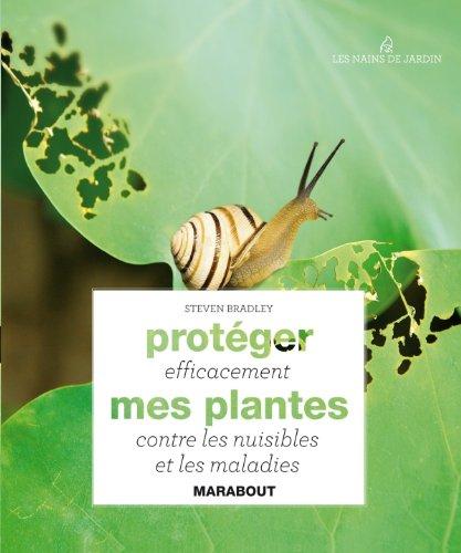 Protéger efficacement mes plantes contre les nuisibles et les maladies