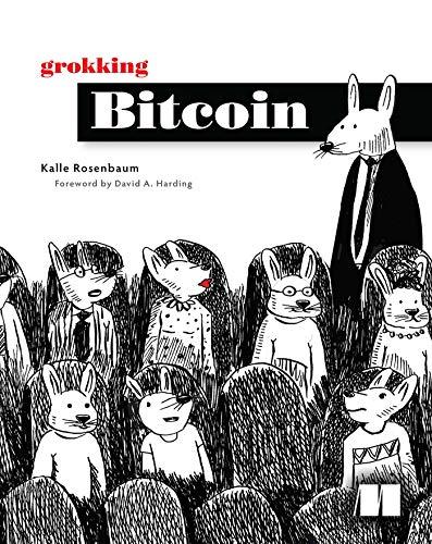 Grokking Bitcoin