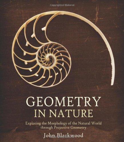 Geometry in Nature: Exploring the Morphology of the Natural World Through Projective Geometry