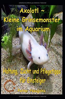 Axolotl ~ Kleine Grinsemonster im Aquarium: Haltung, Zucht und Pflege - Tipps für Einsteiger