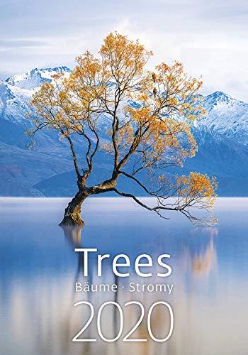 Trees Calendar - Calendars 2019 - 2020 Calendar - Natural Beauty Calendar - Photo Calendar - Forest Calendar By Helma (Multilingual Edition)