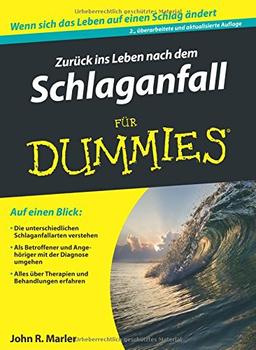 Zurück ins Leben nach dem Schlaganfall für Dummies