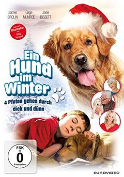 Ein Hund im Winter