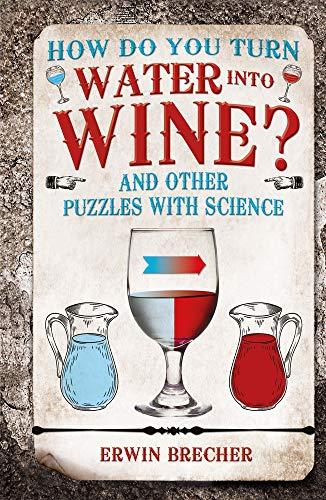 How Do You Turn Water into Wine? (Puzzle Books)