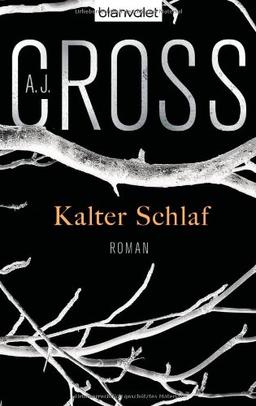 Kalter Schlaf: Roman