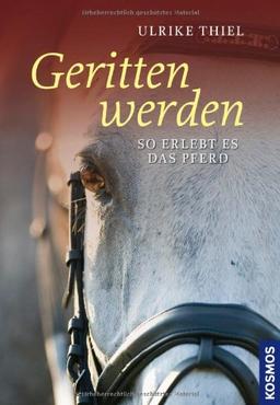 Geritten werden: So erlebt es das Pferd