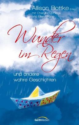 Wunder im Regen: und andere wahre Geschichten