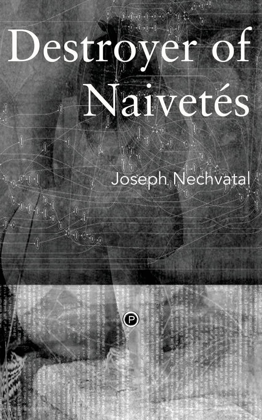 Destroyer of Naivetés