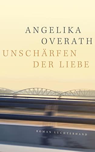 Unschärfen der Liebe: Roman