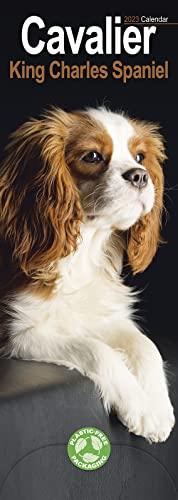 Cavalier King Charles Spaniels 2023: Original Avonside-Kalender - Slimline [Mehrsprachig] [Kalender] (Slimline-Kalender)