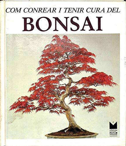 Com conrear i tenir cura del bonsai