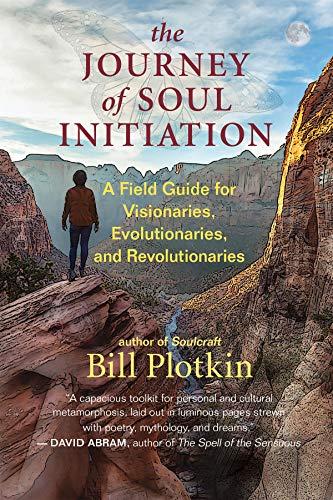 Journey of Soul Initiation: A Field Guide for Visionaries, Evolutionaries, and Revolutionaries