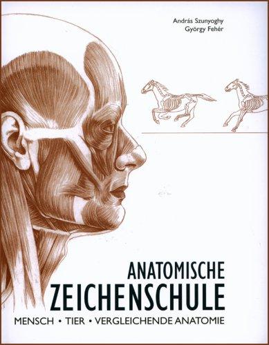 Anatomische Zeichenschule: Mensch. Tier. Vergleichende Anatomie