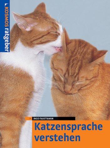 Katzensprache verstehen