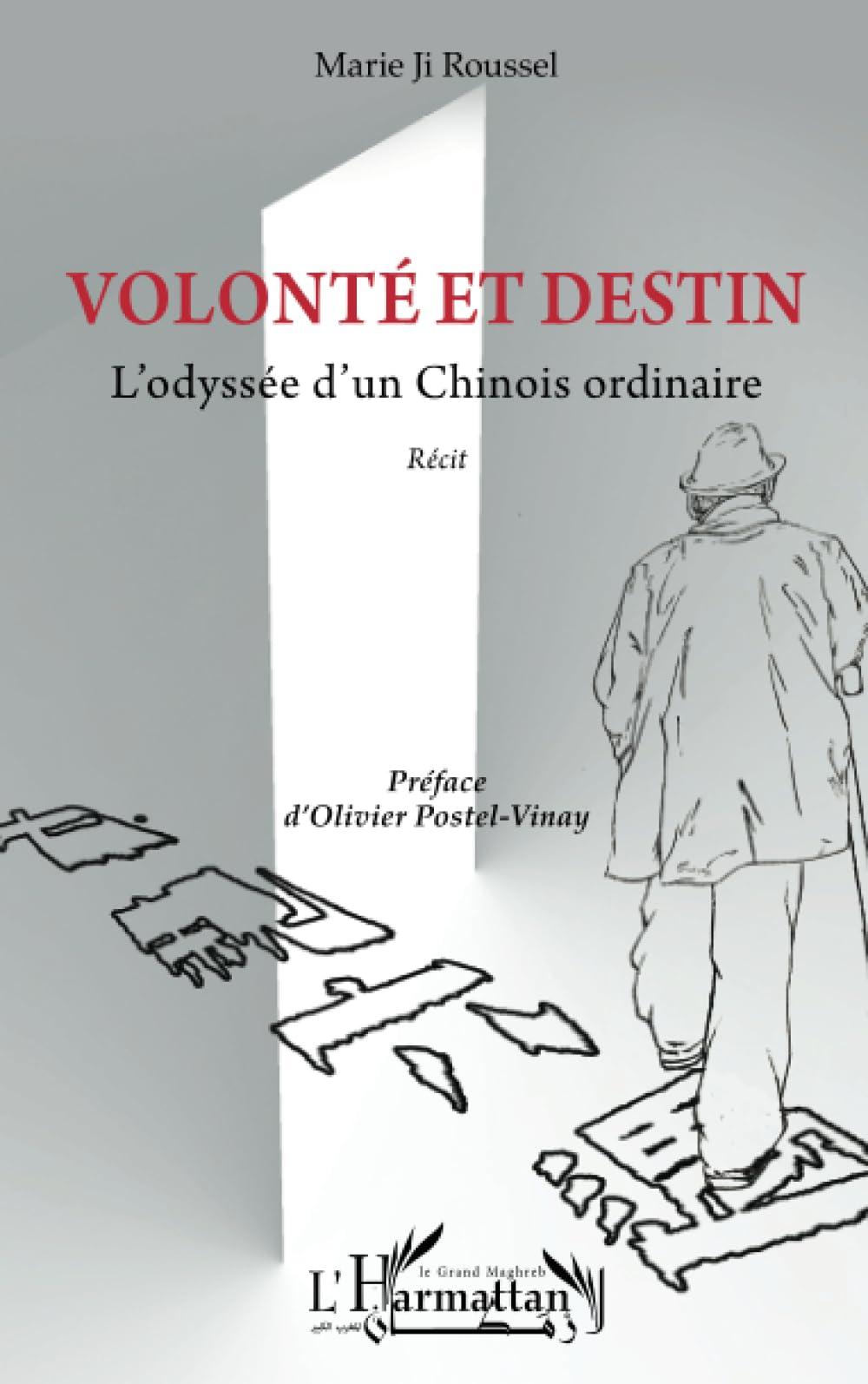 Volonté et destin: L’odyssée d’un Chinois ordinaire: L¿odyssée d¿un Chinois ordinaire