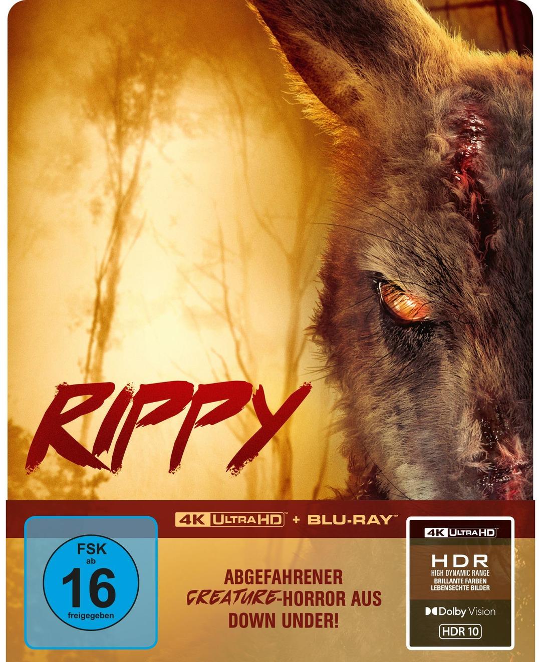 Rippy - Das Killerkänguru - 2-Disc Limited Collector's SteelBook (UHD-Blu-ray + Blu-ray)