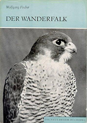 Der Wanderfalk: Falco peregrinus und Falco pelegrinoides