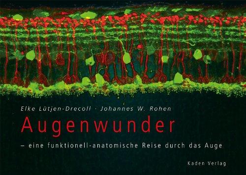 Augenwunder - eine funktionell-anatomische Reise durch das Auge