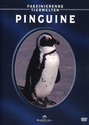 Faszinierende Tierwelten: Pinguine