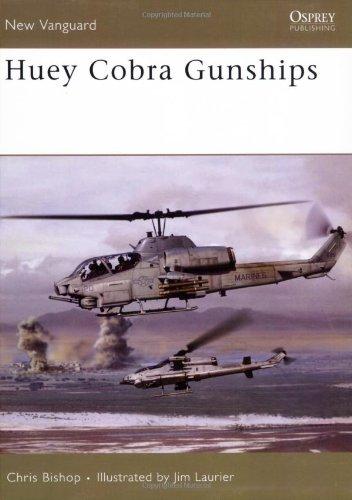 Huey Cobra Gunships