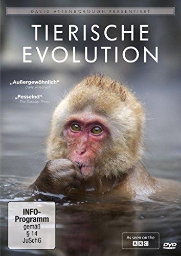 David Attenborough - Tierische Evolution