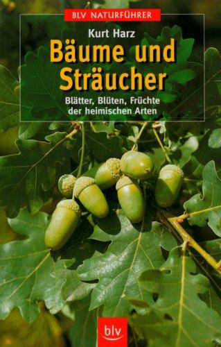 Bäume und Sträucher. Blätter, Blüten, Früchte der heimischen Arten