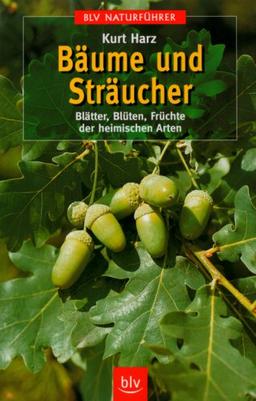 Bäume und Sträucher. Blätter, Blüten, Früchte der heimischen Arten