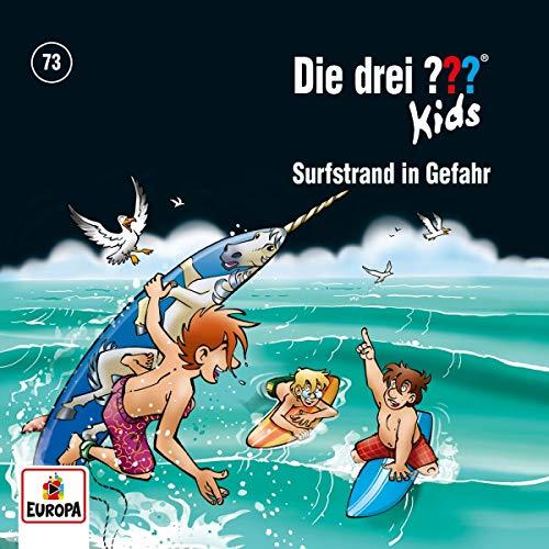 073/Surfstrand in Gefahr