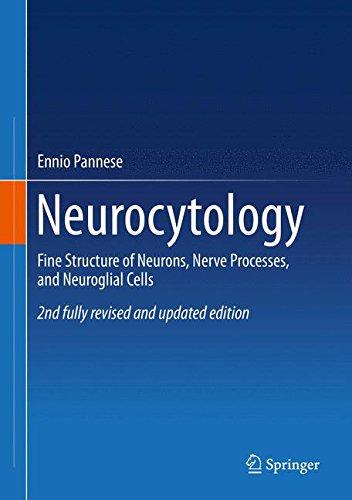 Neurocytology: Fine Structure of Neurons, Nerve Processes, and Neuroglial Cells