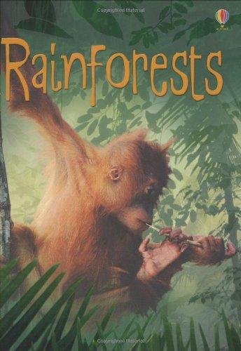 Rainforests (Beginners Series)