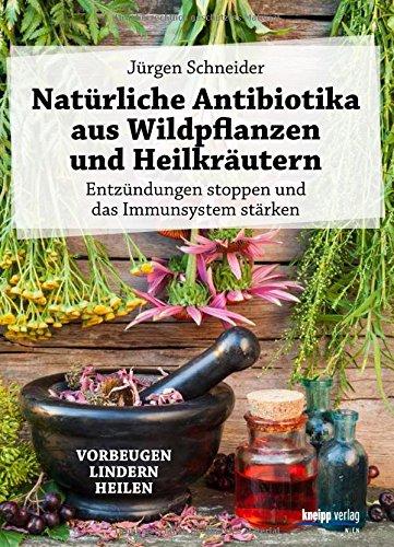 Natürliche Antibiotika aus Wildpflanzen und Heilkräutern: Entzündungen stoppen und das Immunsystem stärken