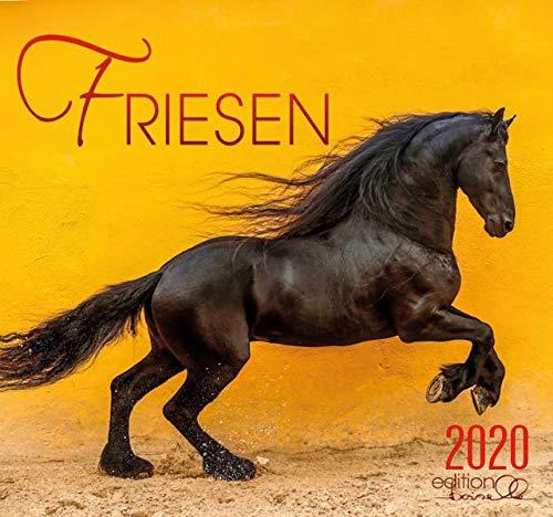 Friesen 2020