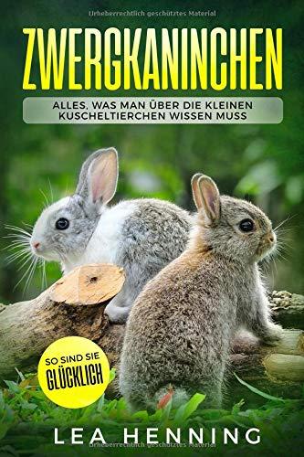 Zwergkaninchen: Alles, was man über die kleinen Kuscheltierchen wissen muss. So sind sie glücklich.